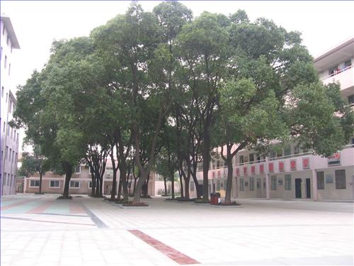 校园新貌
